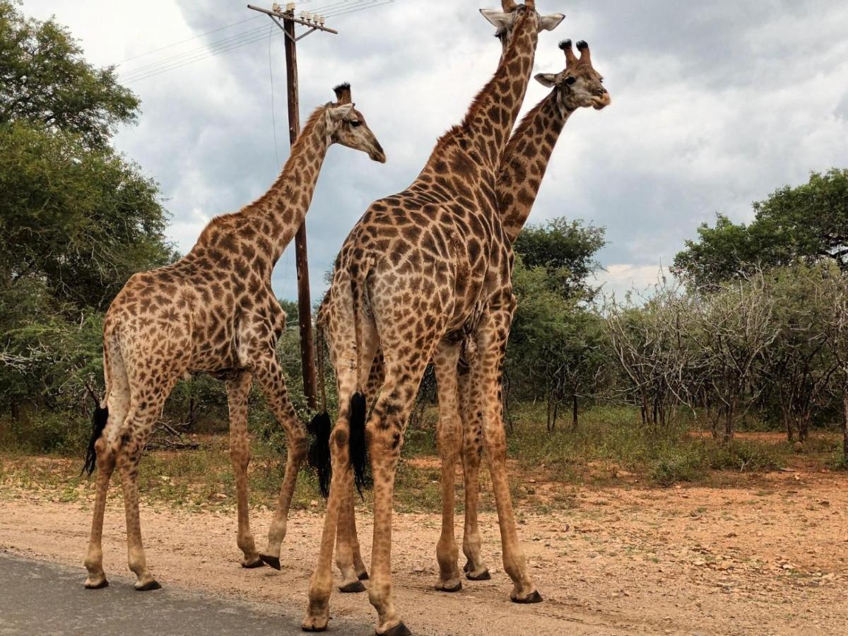 South Safari Lodge Marloth Park Exterior foto